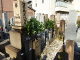 img0003.jpg