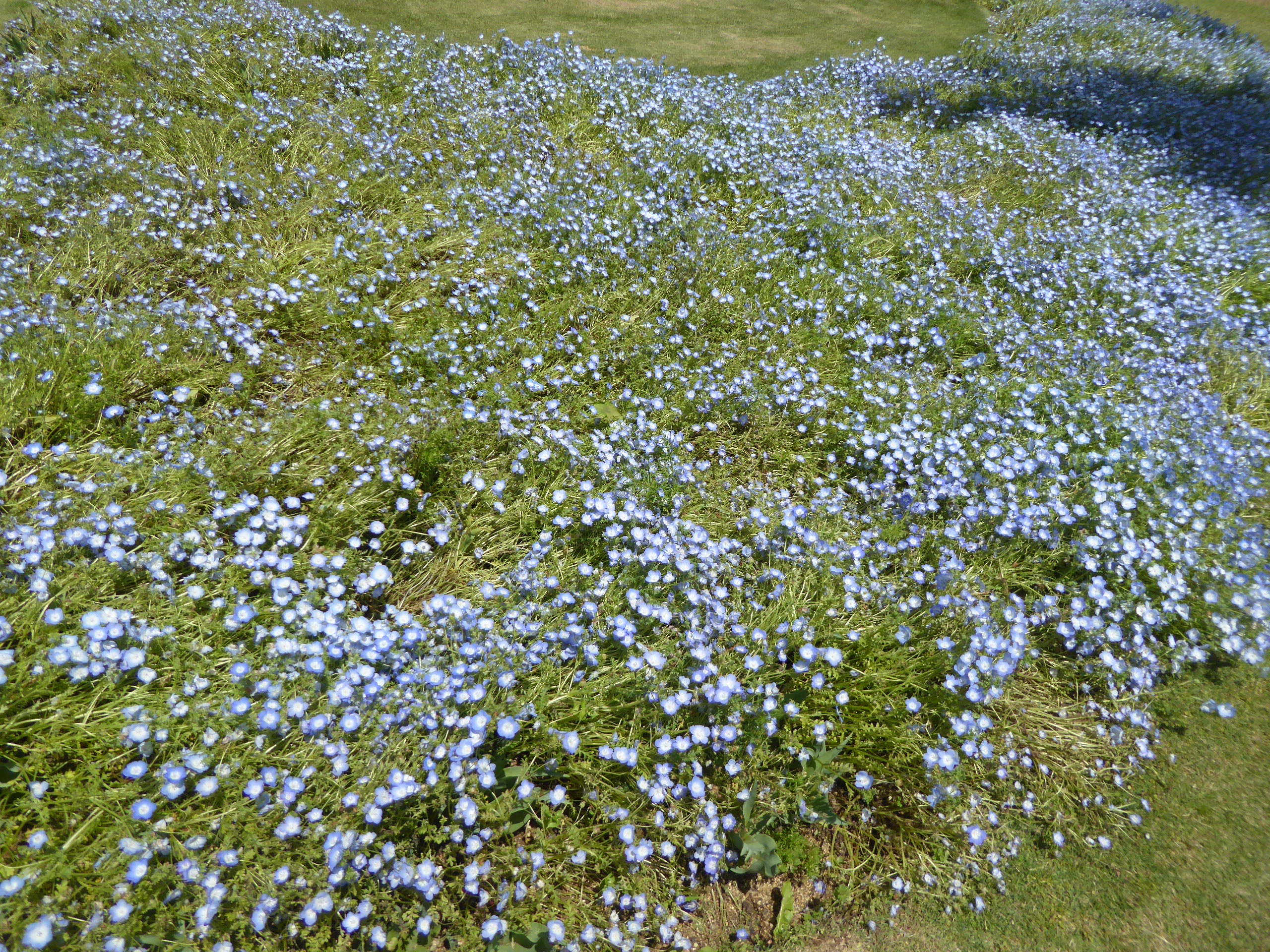 P1140154.JPG
