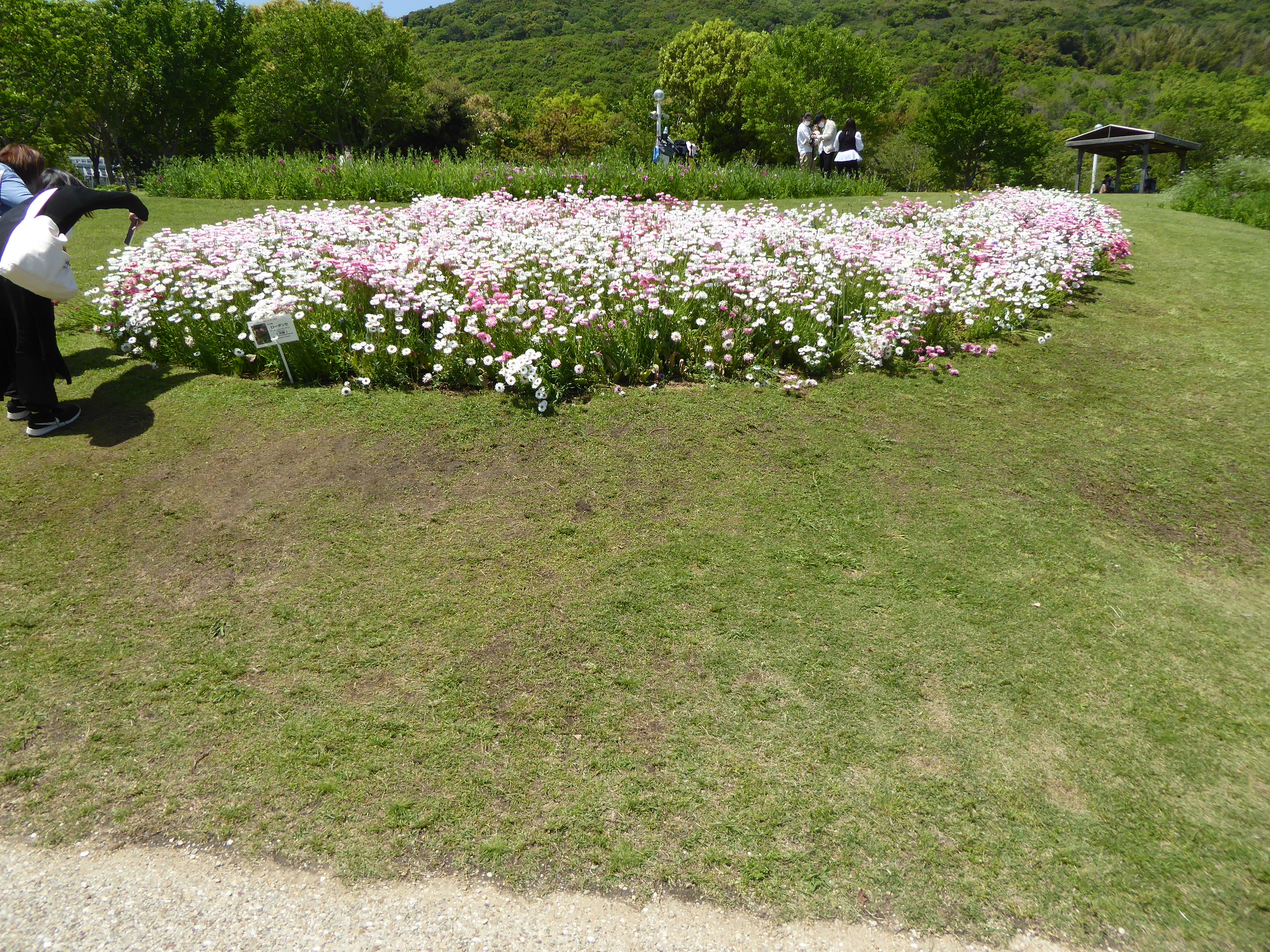 P1140159.JPG
