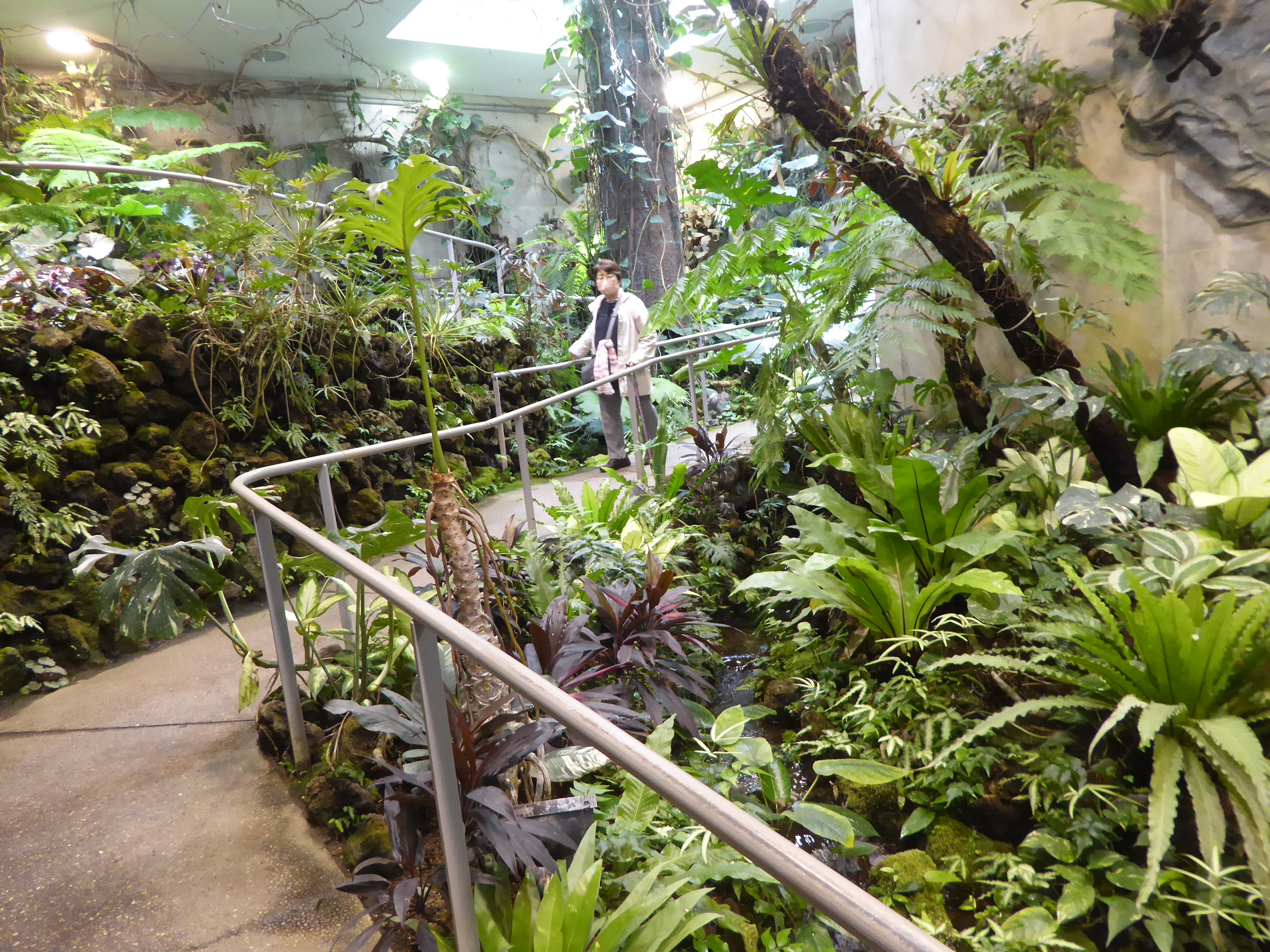 P1140168.JPG
