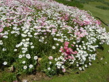 img0001.jpg