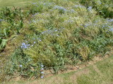 img0003.jpg