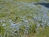 img0004.jpg