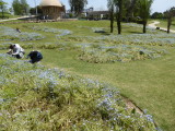 img0007.jpg