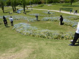 img0008.jpg