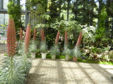 img0016.jpg