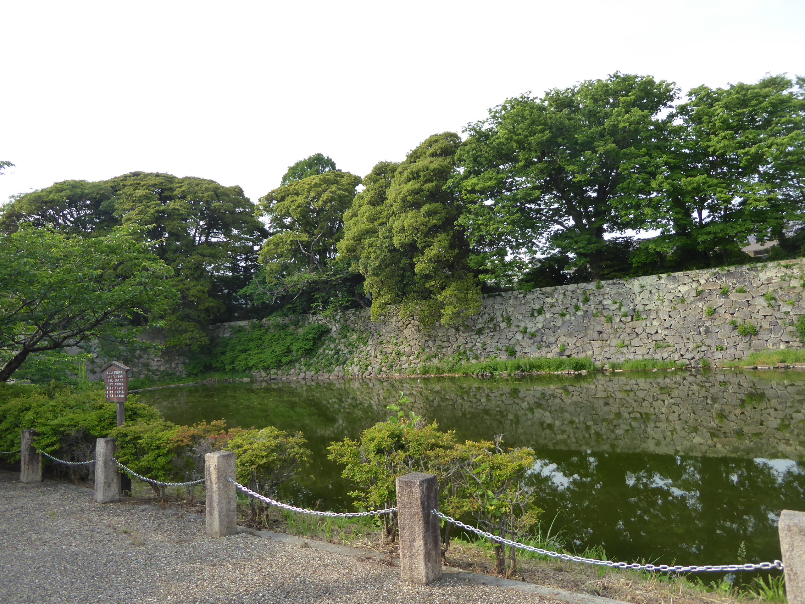 P1140179.JPG