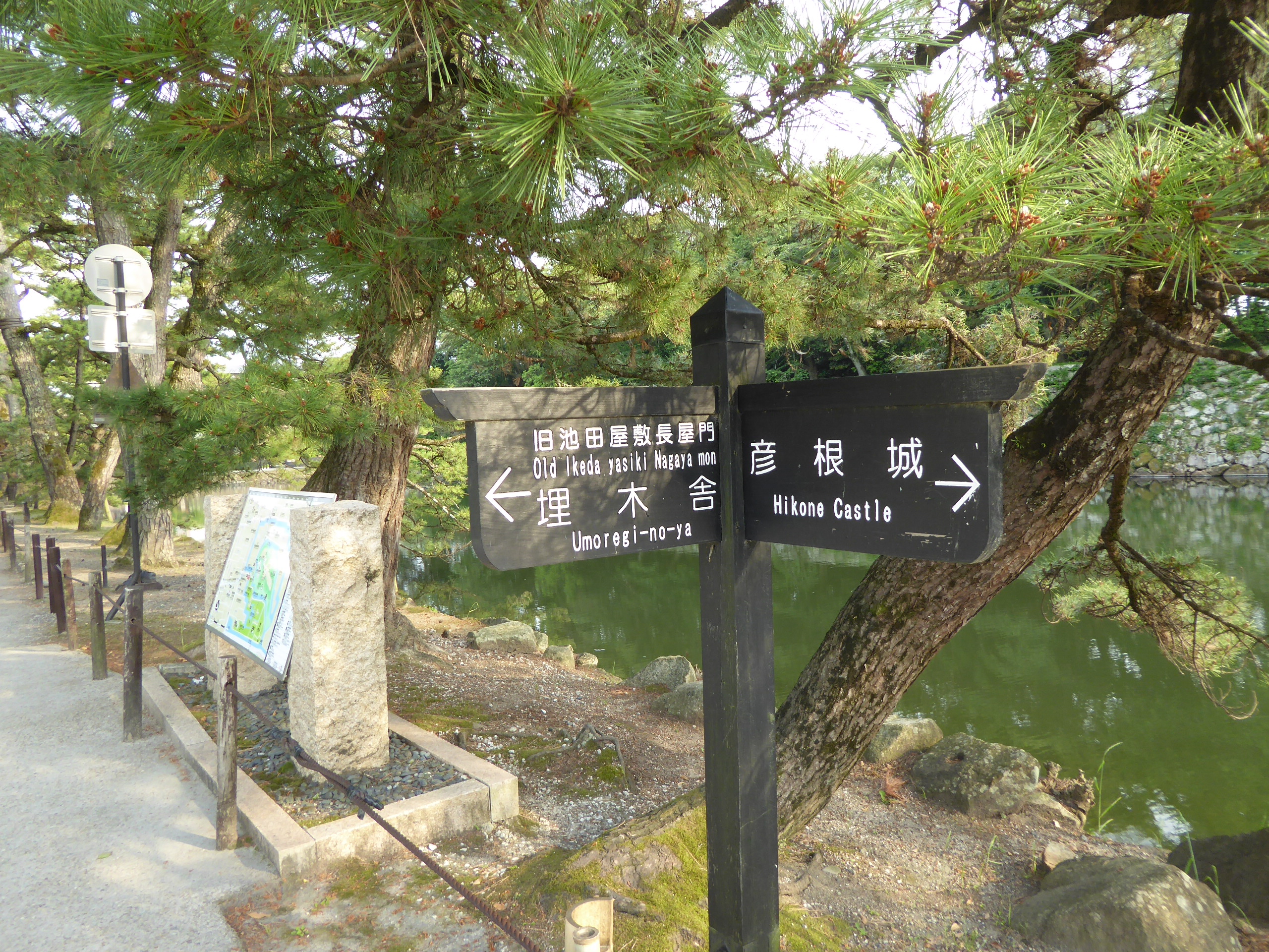 P1140197.JPG