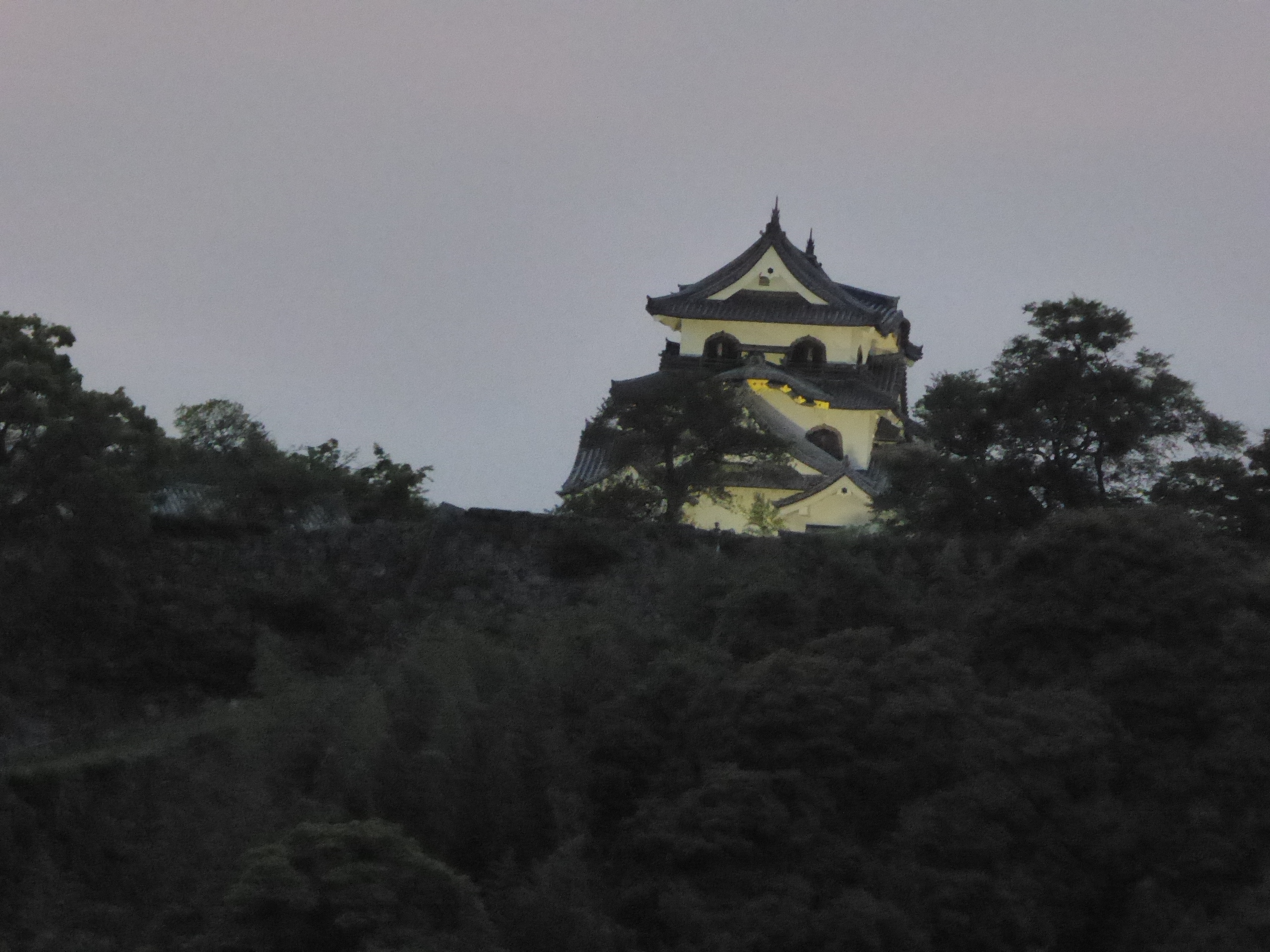 P1140209.JPG