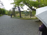 img0013.jpg