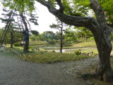 img0014.jpg