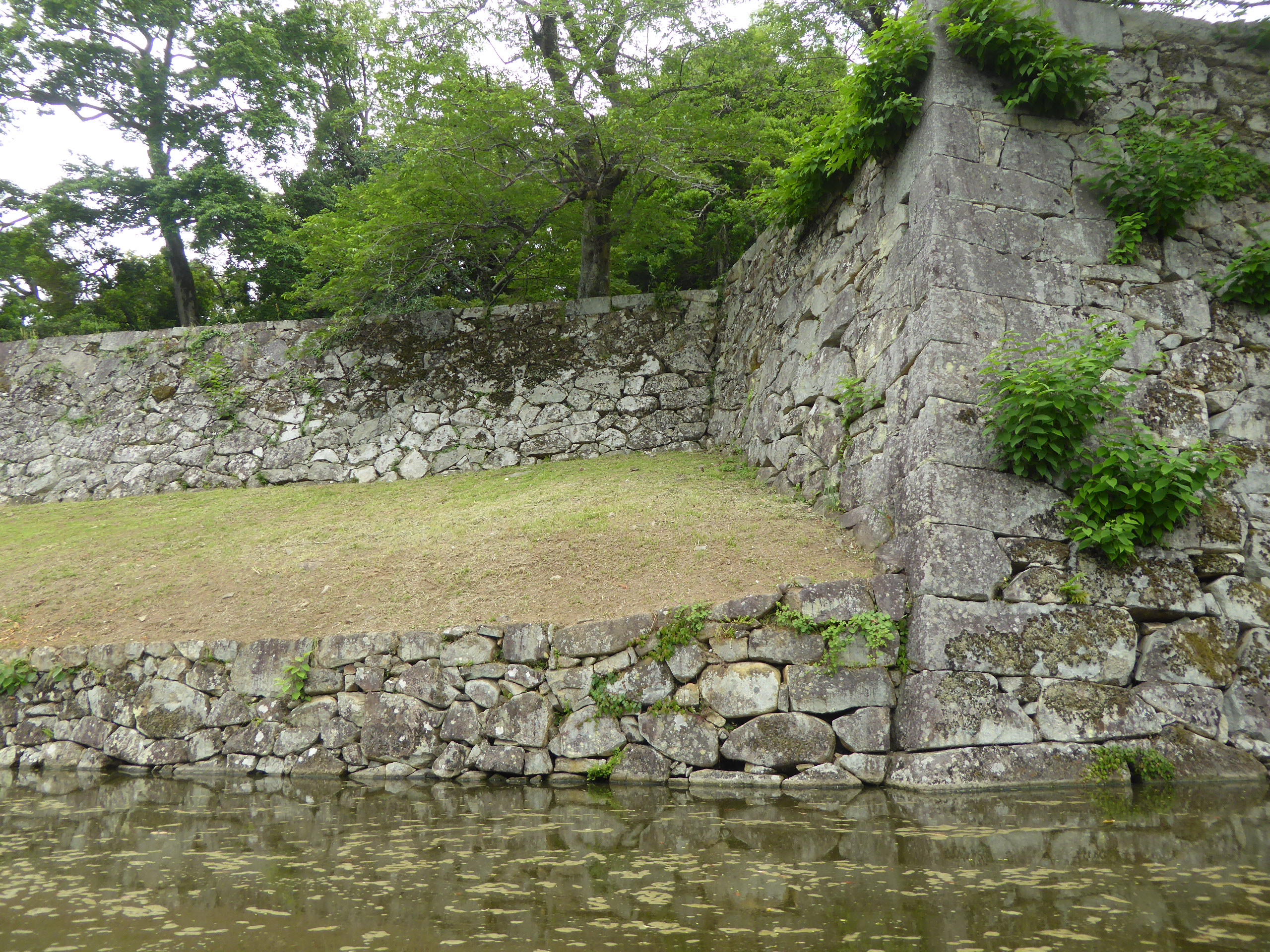 P1140224.JPG
