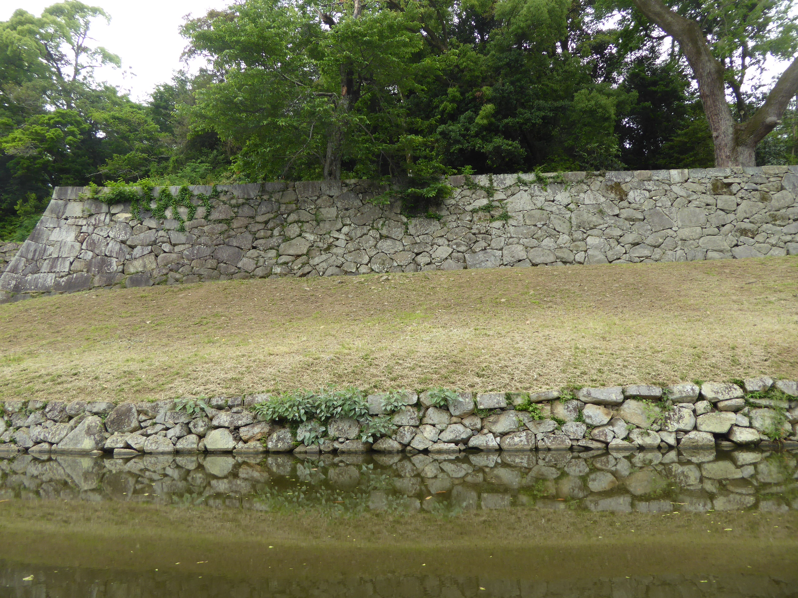 P1140227.JPG