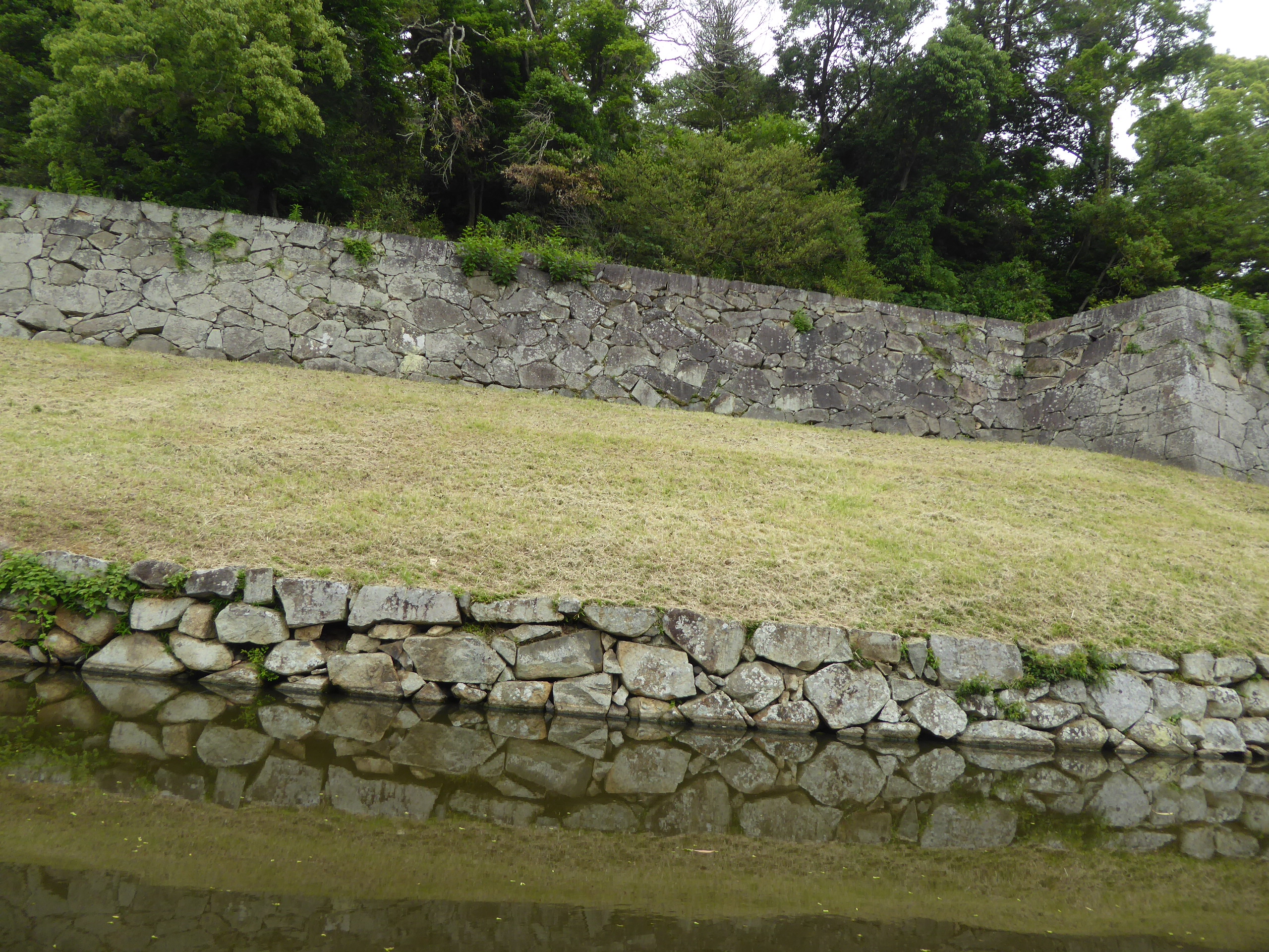 P1140229.JPG