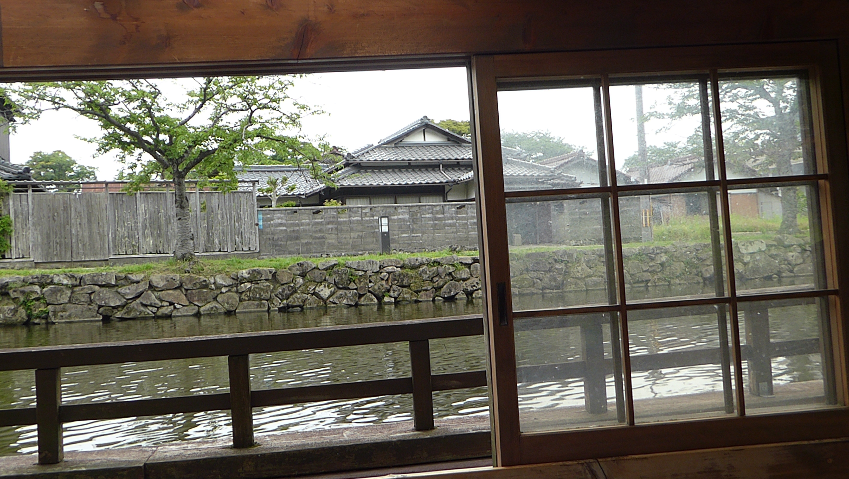 P1140232.JPG