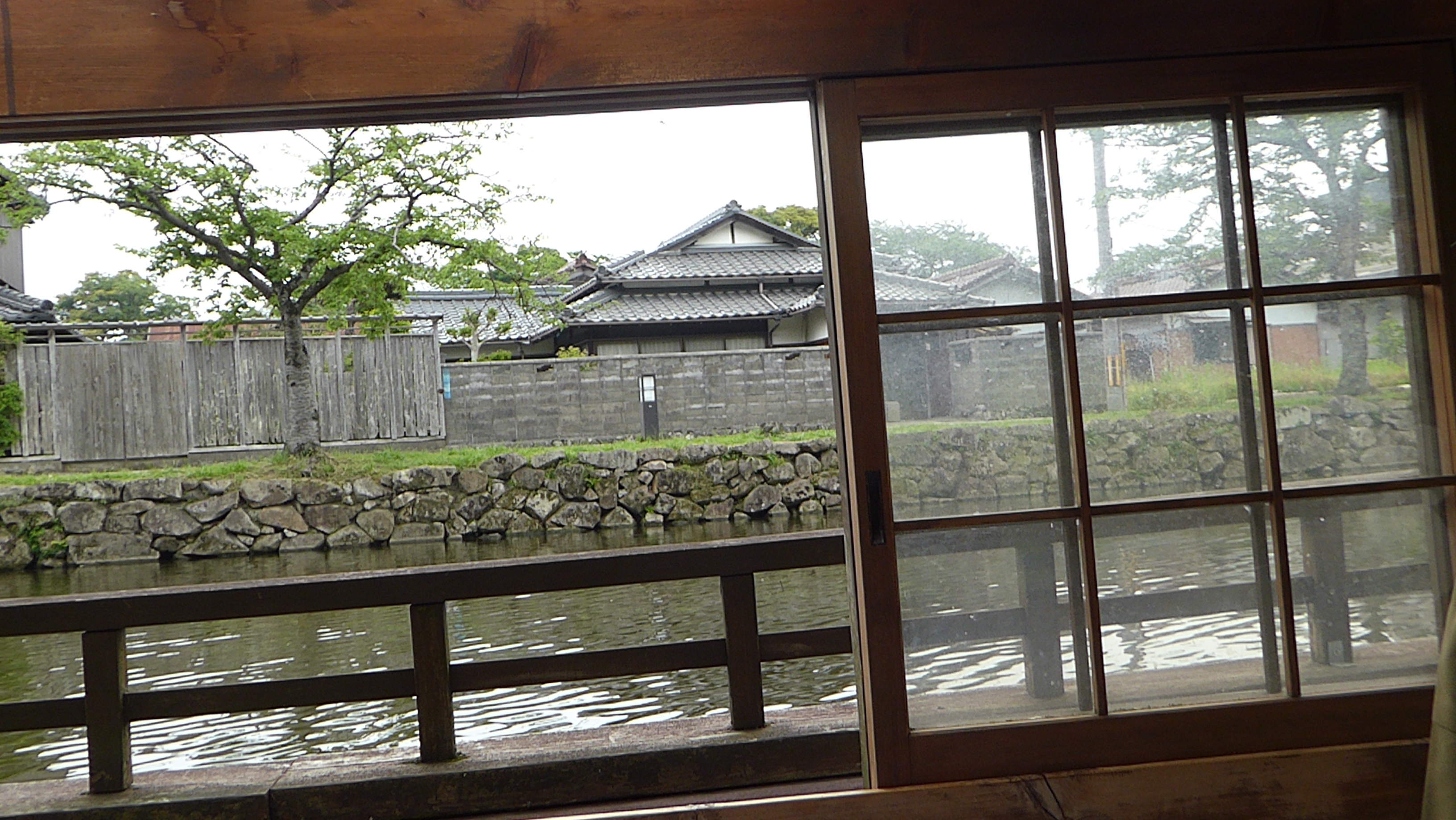 P1140233.JPG