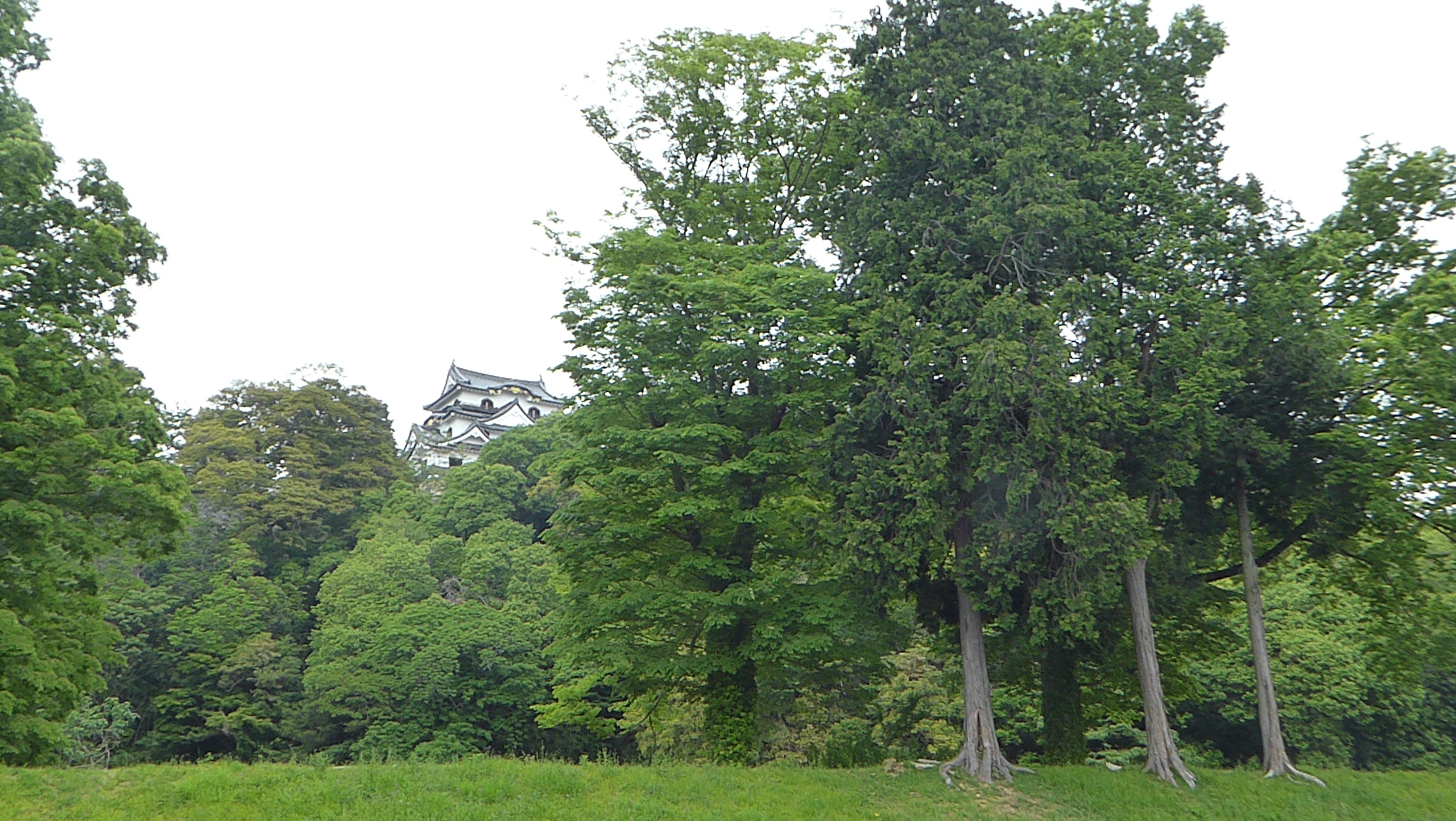P1140235.JPG
