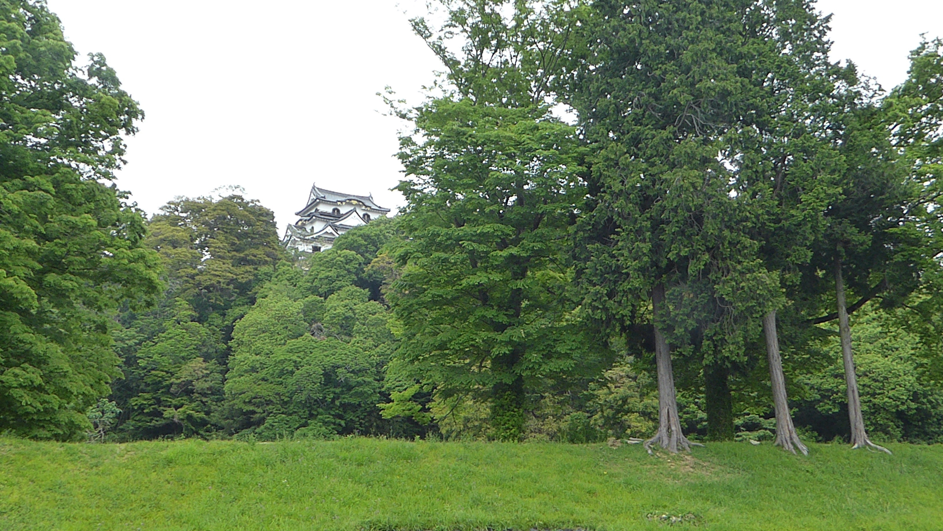 P1140236.JPG