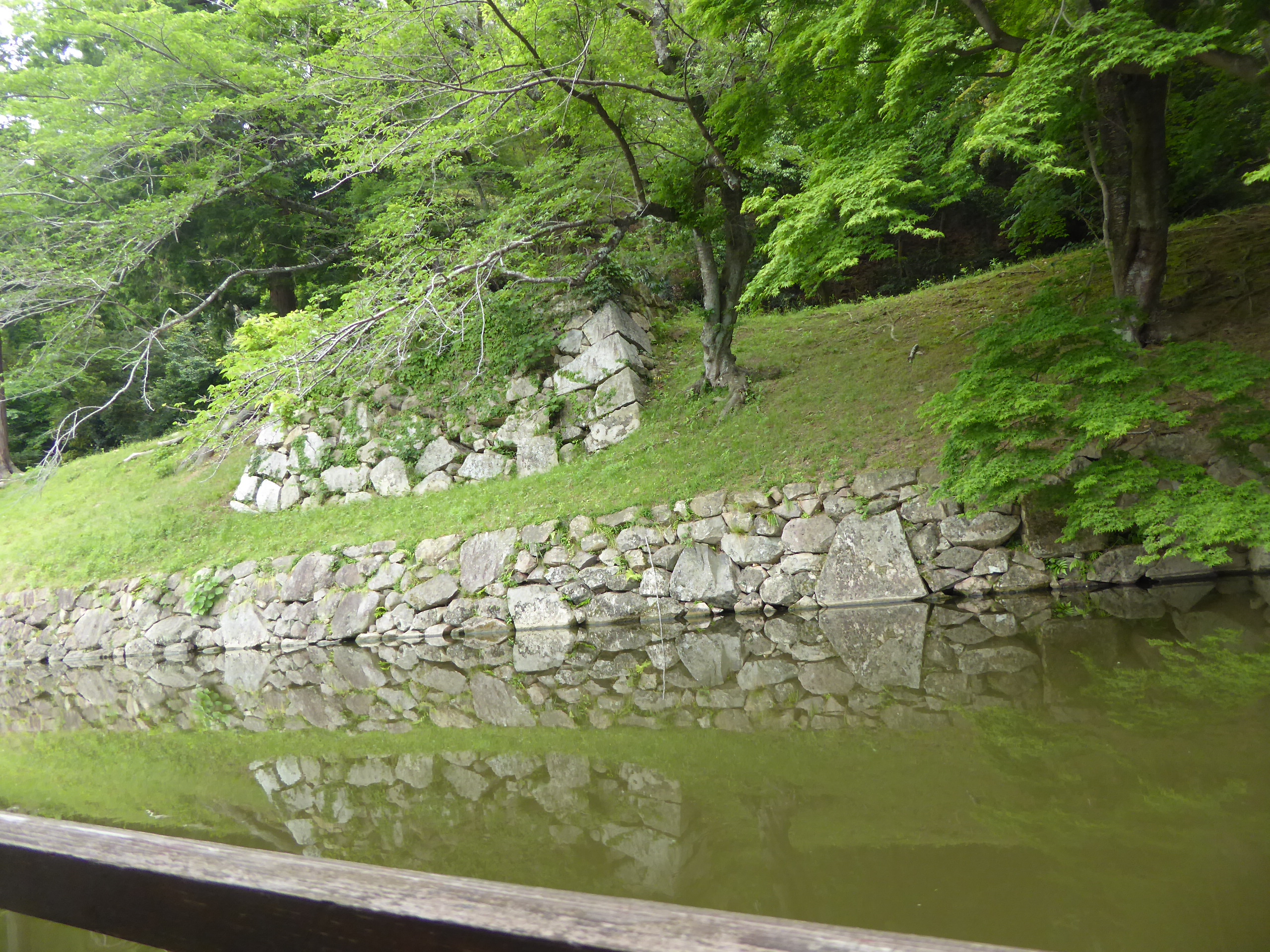 P1140239.JPG