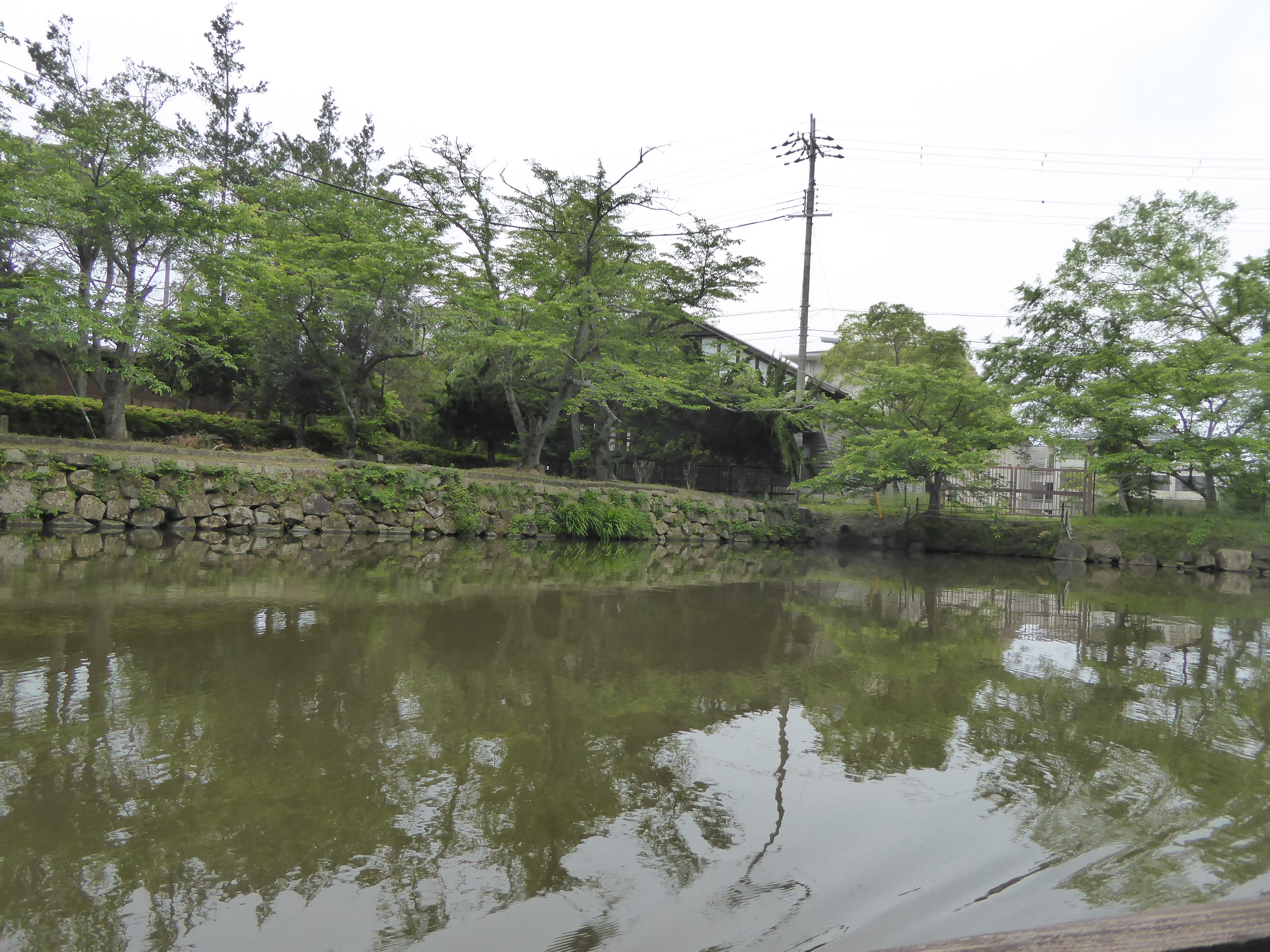 P1140242.JPG