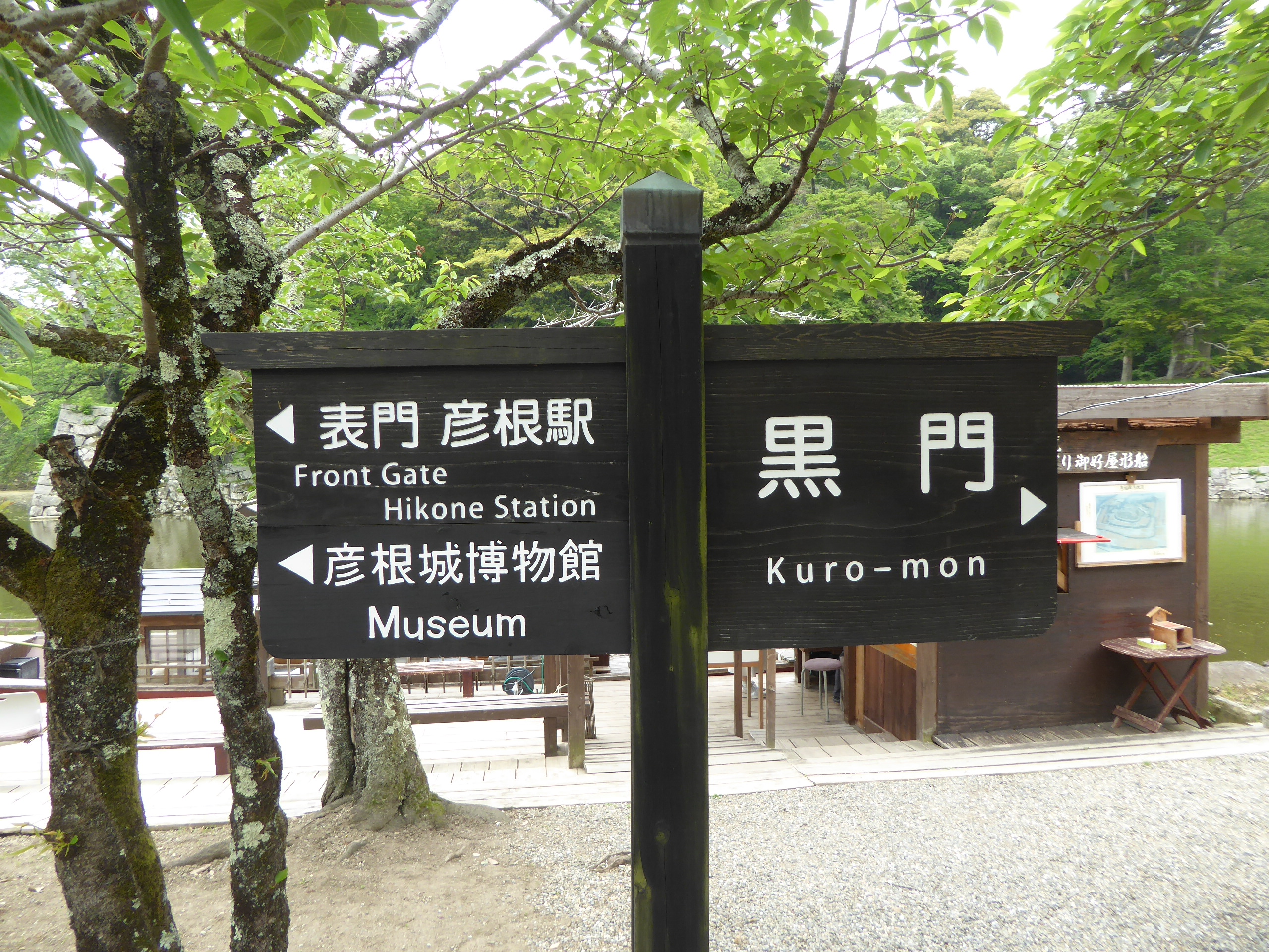P1140247.JPG