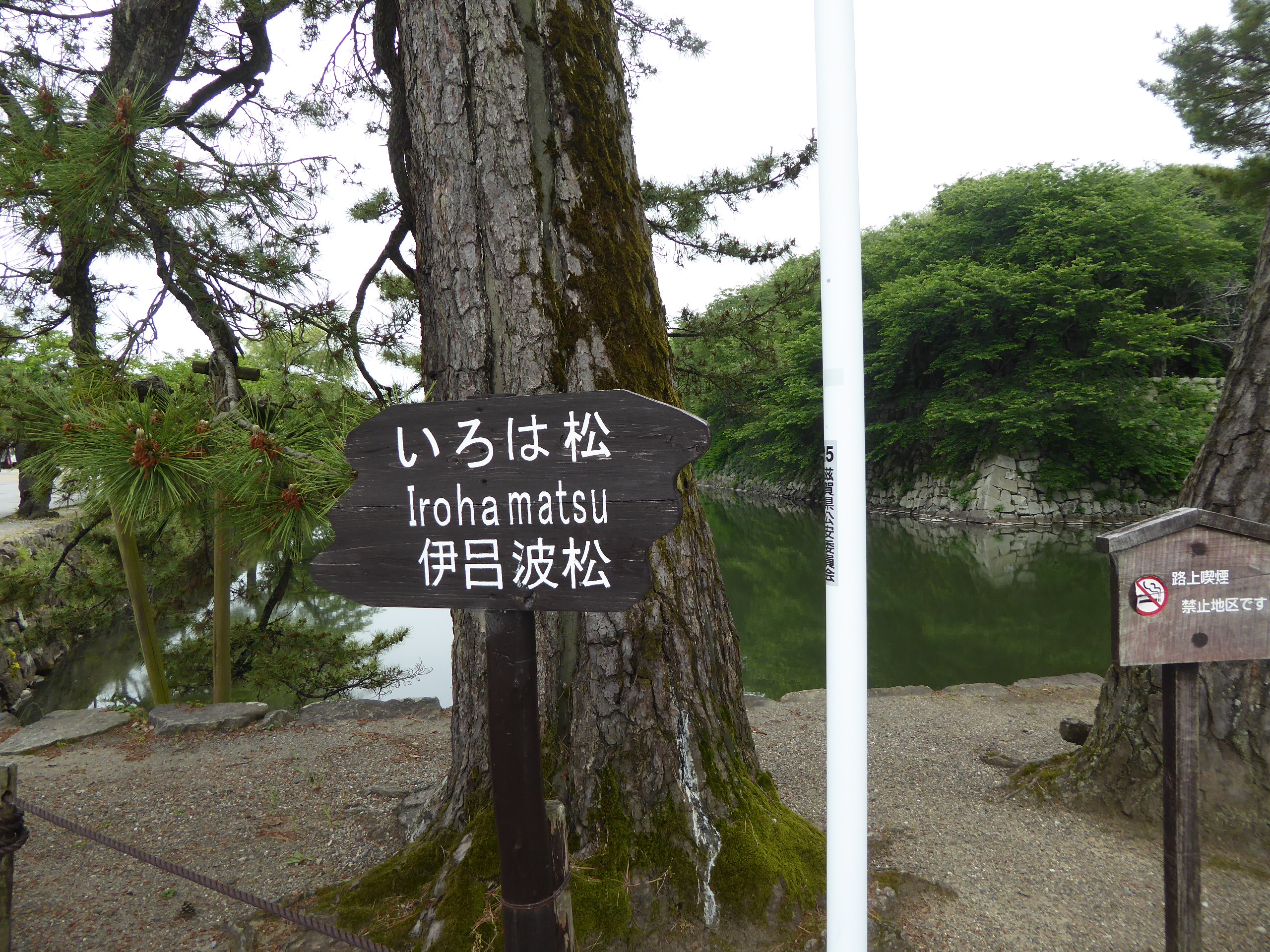 P1140249.JPG