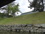 img0011.jpg