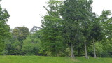 img0024.jpg
