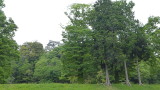 img0025.jpg