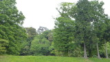 img0027.jpg