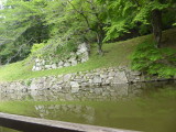 img0029.jpg