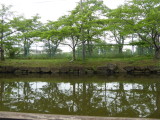 img0031.jpg