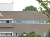 img0036.jpg