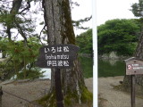 img0039.jpg