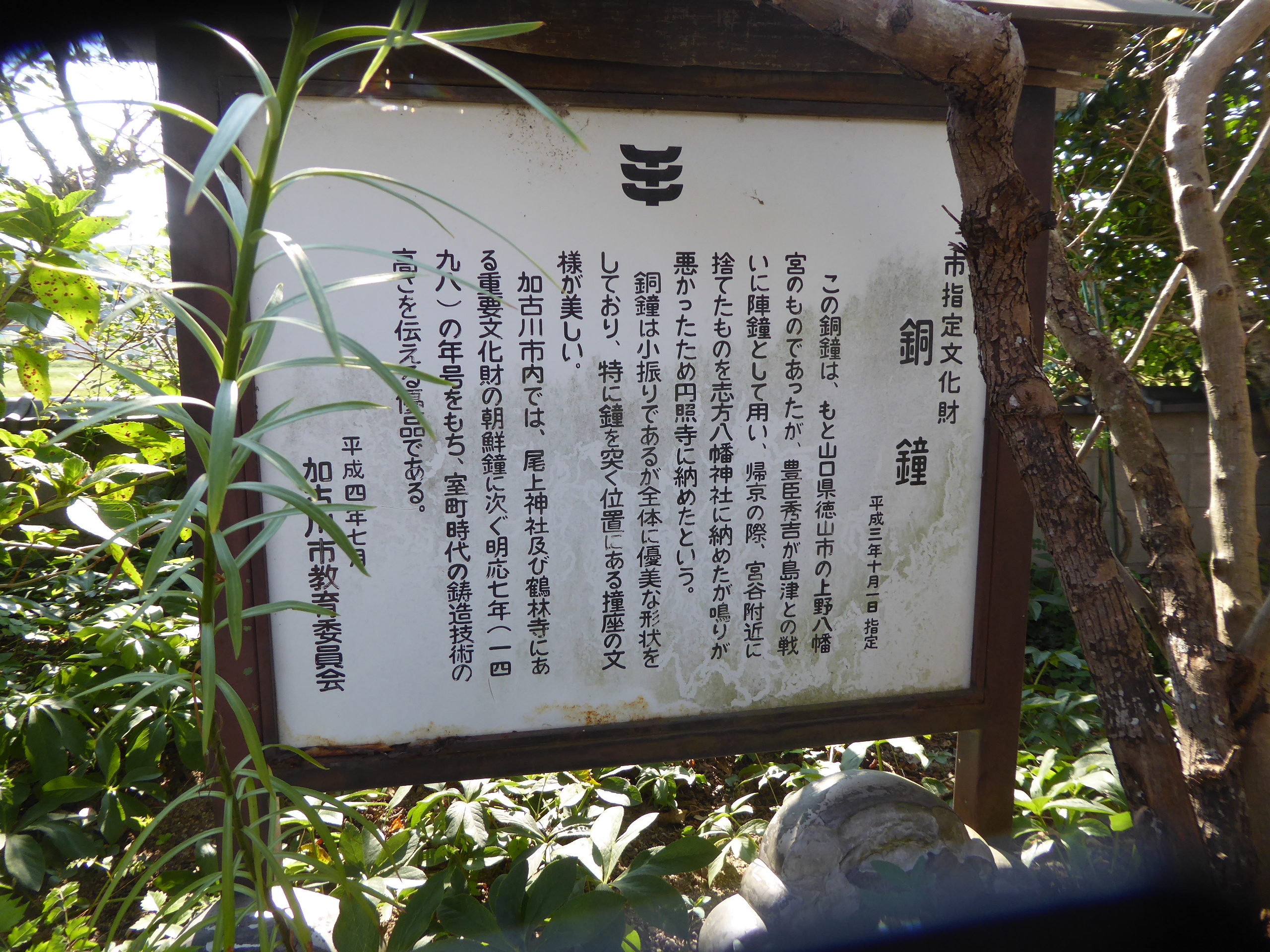 P1140362.JPG