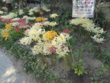 img0001.jpg