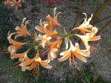 img0012.jpg