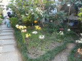 img0013.jpg