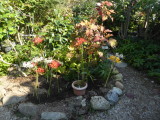 img0014.jpg