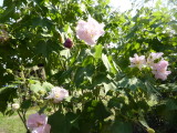 img0015.jpg