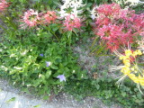 img0022.jpg