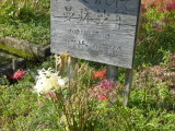 img0023.jpg