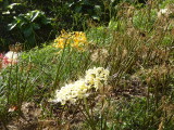 img0024.jpg