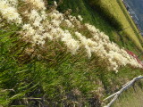 img0027.jpg