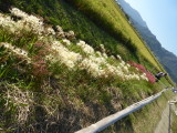 img0028.jpg