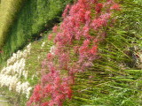 img0029.jpg