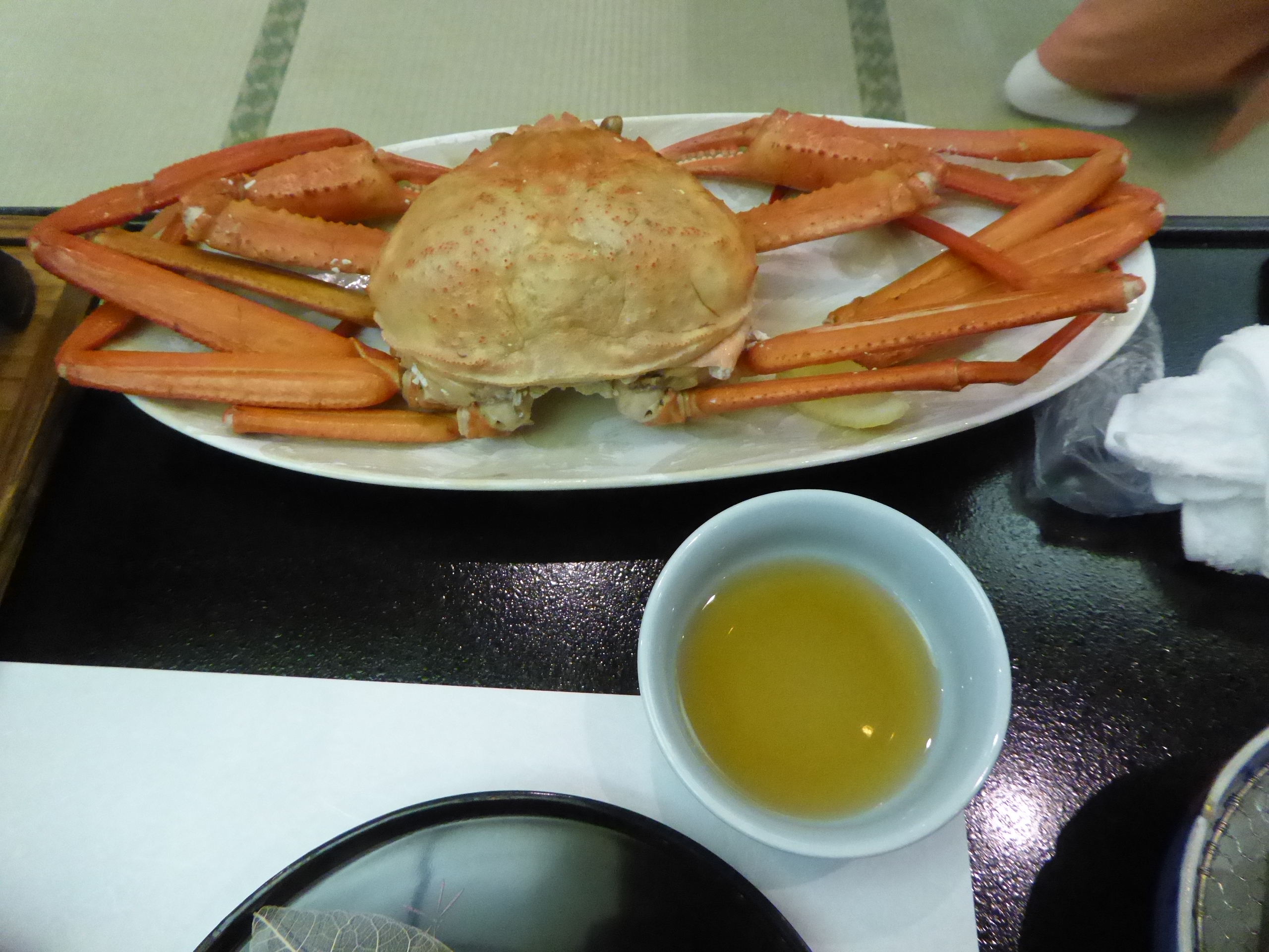 P1140613.JPG