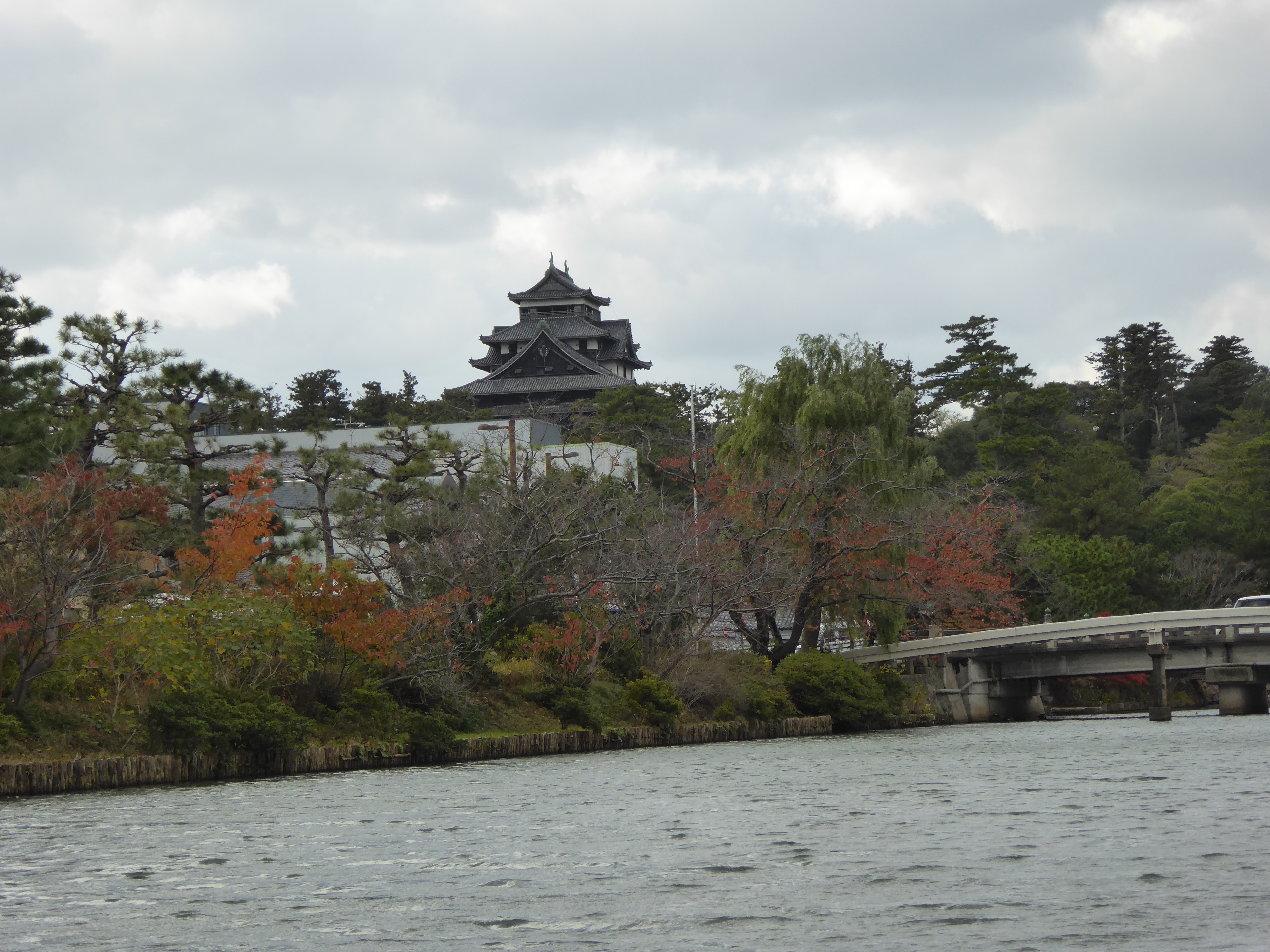 P1140661.JPG