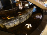 img0050.jpg