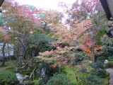 img0053.jpg